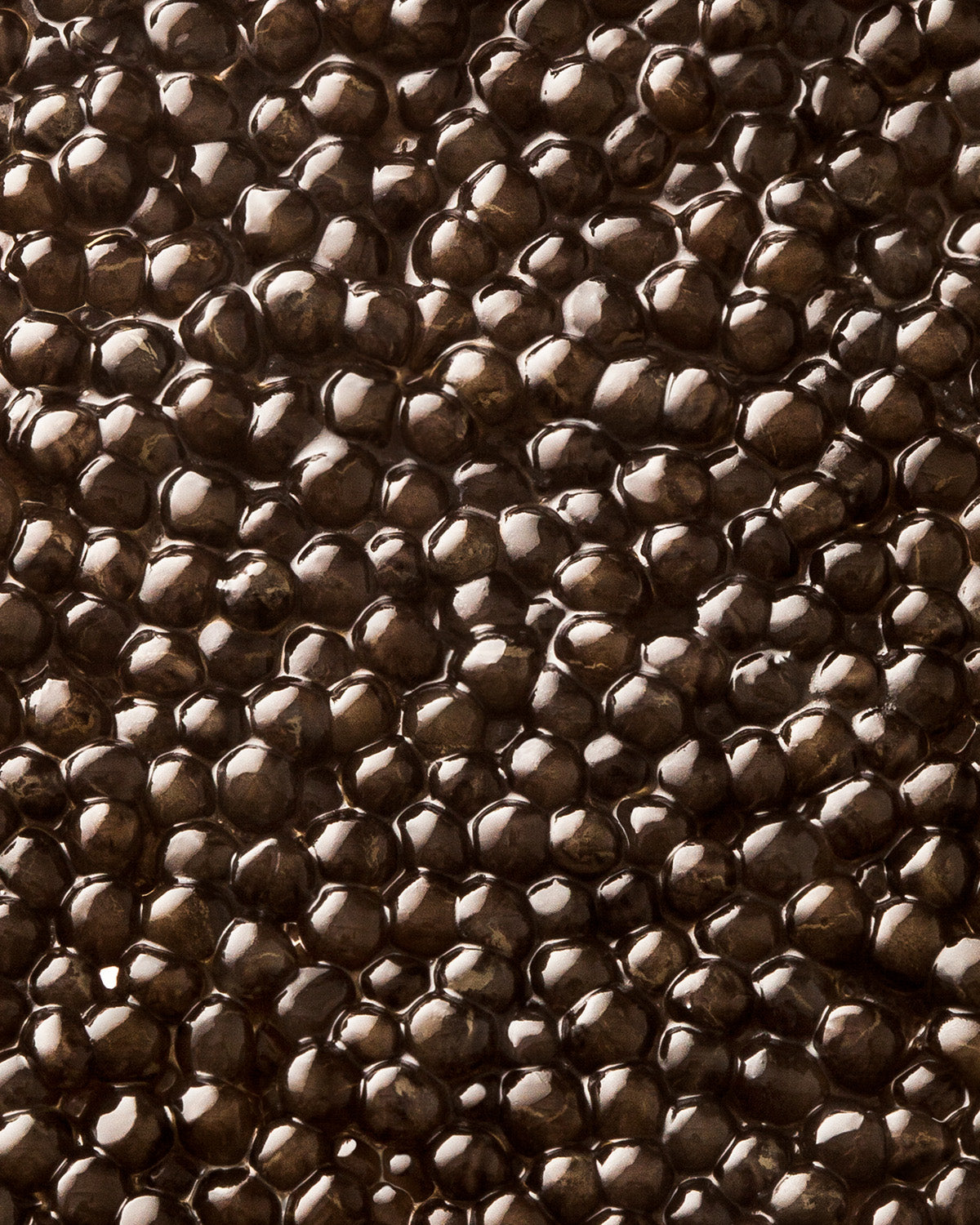 Caviar Baeri