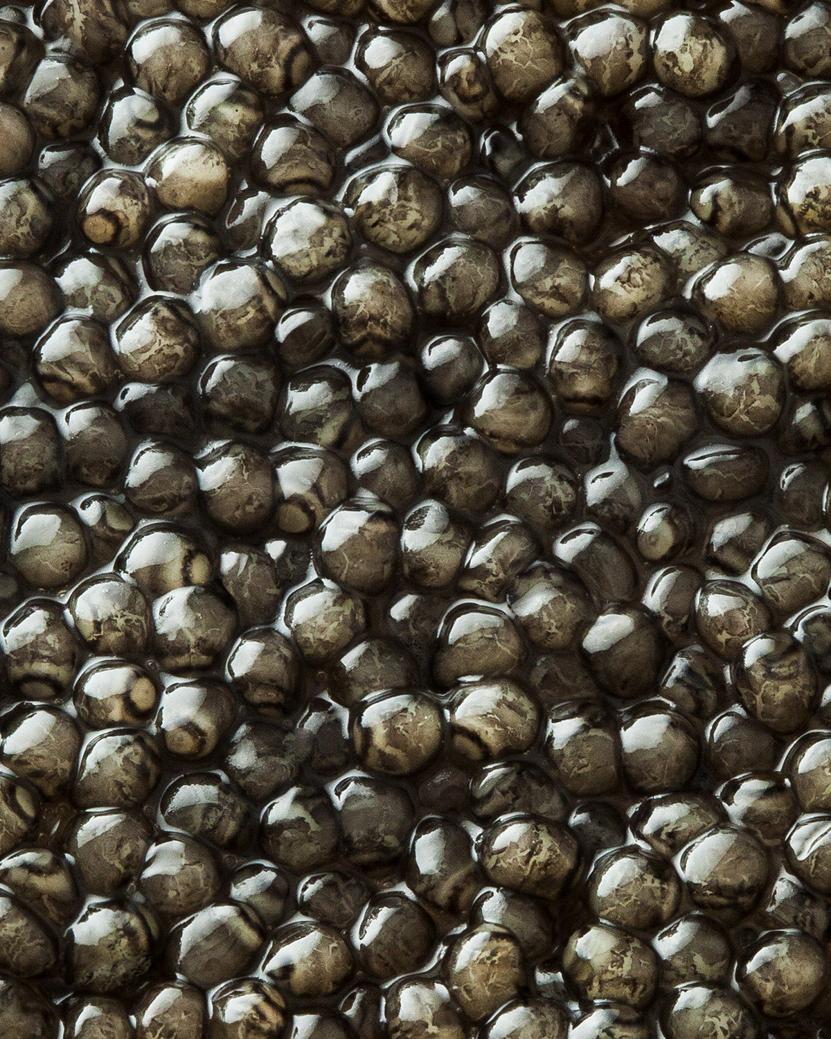 Caviar Beluga