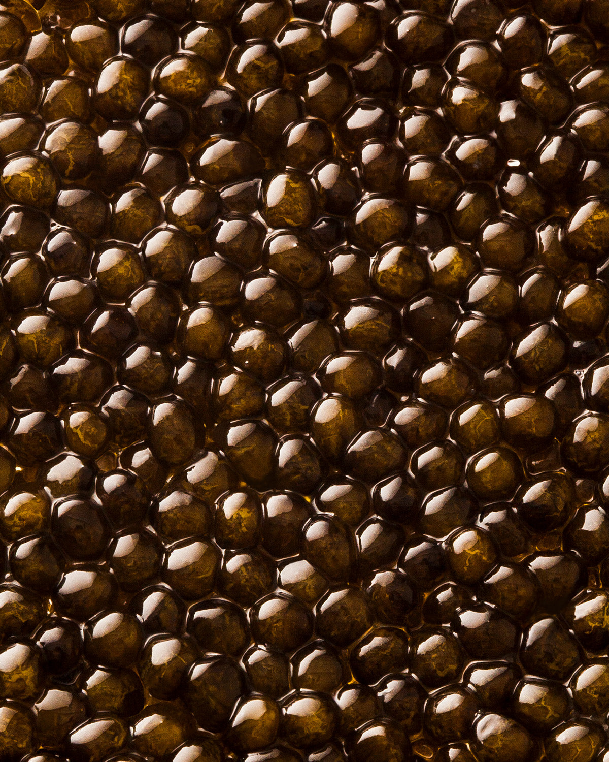 Caviar Kristal