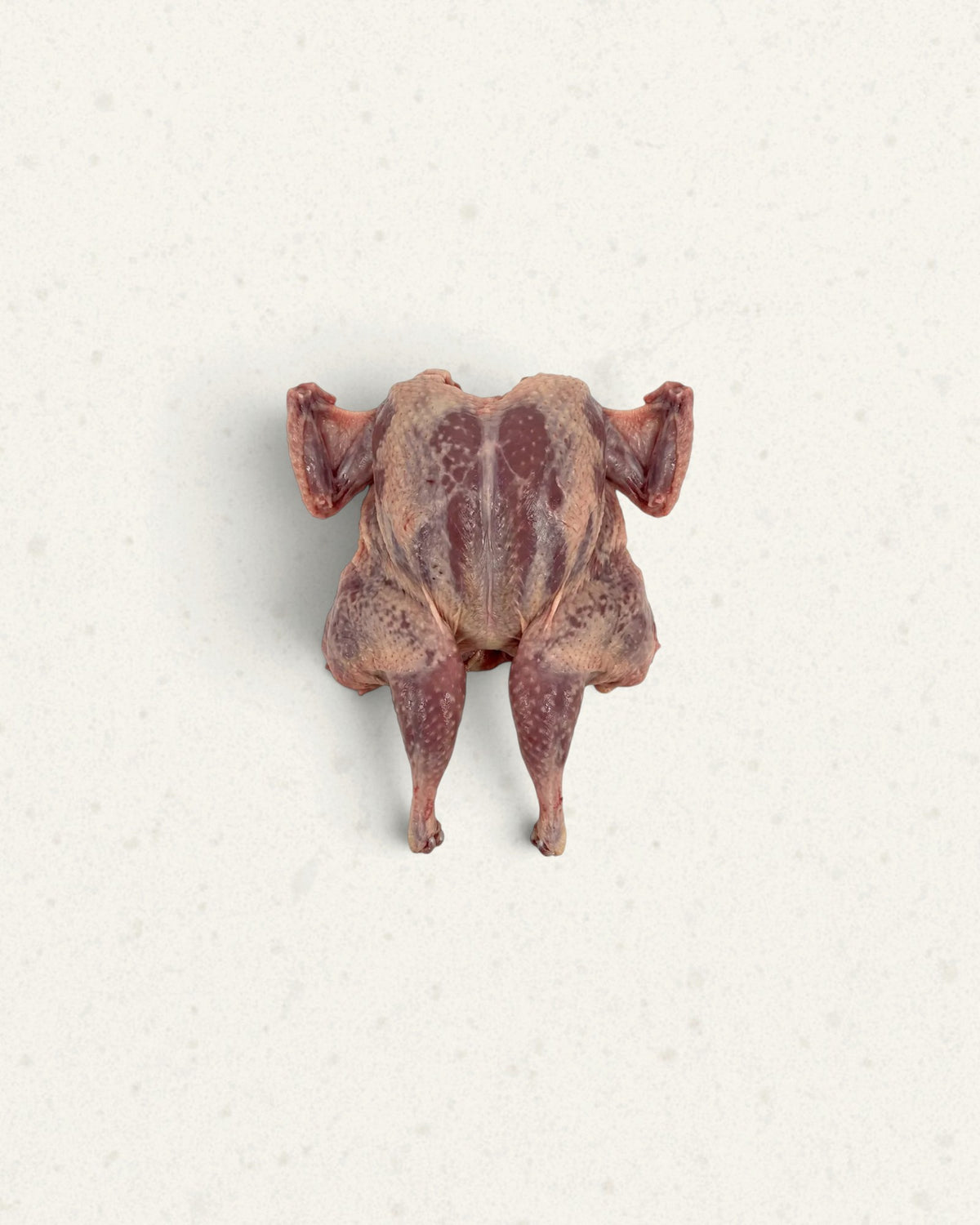 Quail Crapaudine