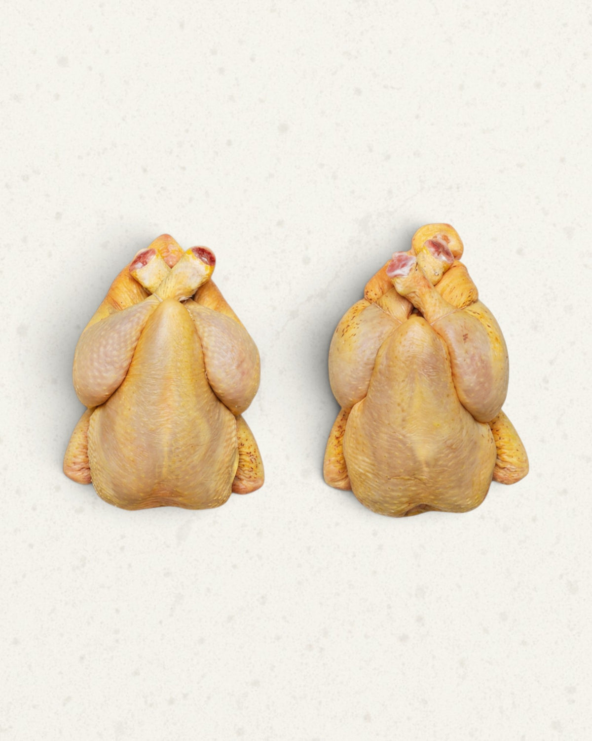 Spring Chicken