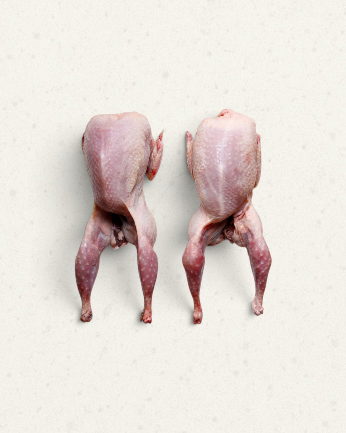 Quail