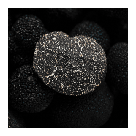 Fresh Black Winter Truffle Tuber Melanosporum