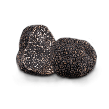 Fresh Black Winter Truffle Tuber Melanosporum