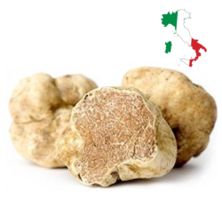 Fresh White Truffle Tuber Magnatum Pico