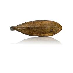 Frozen Dover Sole - Qwehli