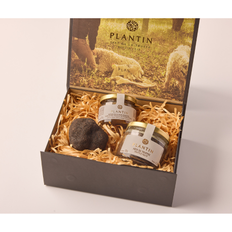 Plantin Gift Box - The Essentials