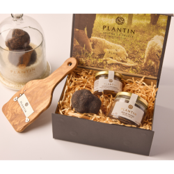 Plantin Gift Box - The Essentials