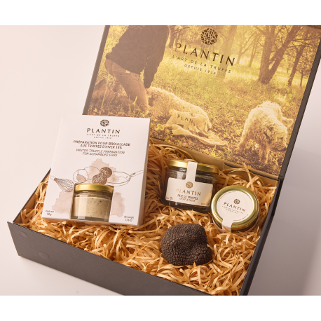 Plantin Gift Box - The Generous