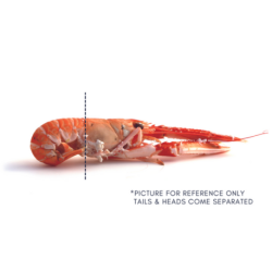 Frozen Wild Langoustines - Qwehli