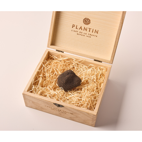 Premium Fresh Truffle Gift Box by Plantin