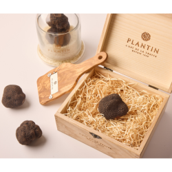 Premium Fresh Truffle Gift Box by Plantin