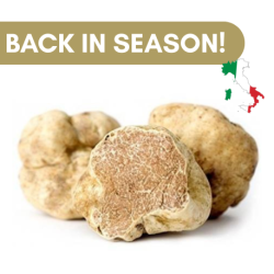 Fresh White Truffle Tuber Magnatum Pico