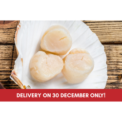 Fresh Normandy Scallop Meat