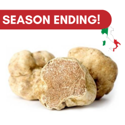 Fresh White Truffle Tuber Magnatum Pico