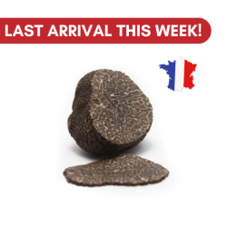 Fresh Black Winter Truffle Tuber Melanosporum