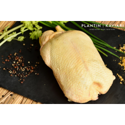 Farmed Duckling (frozen)