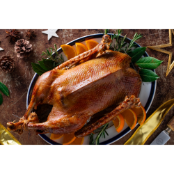 White Farmed Goose