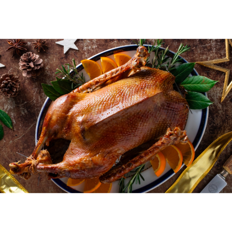 White Farmed Goose