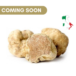 Fresh White Truffle Tuber Magnatum Pico
