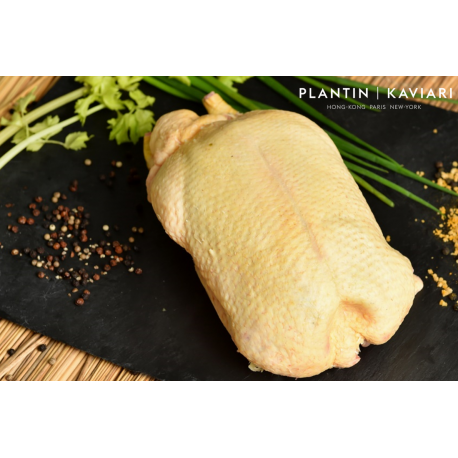 Farmed Duckling (frozen)