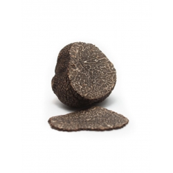 Fresh Black Winter Truffle Tuber Melanosporum