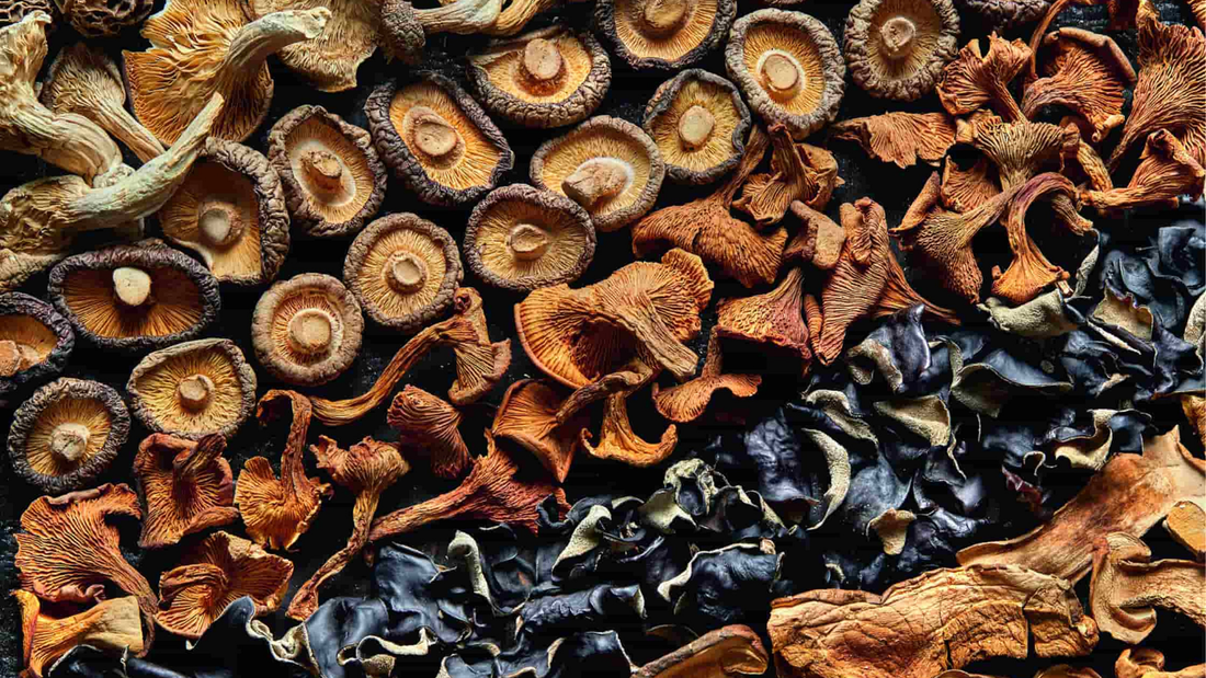 The Essential Guide to Dry Mushrooms