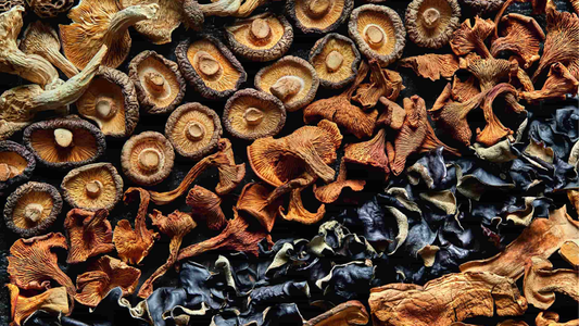 The Essential Guide to Dry Mushrooms