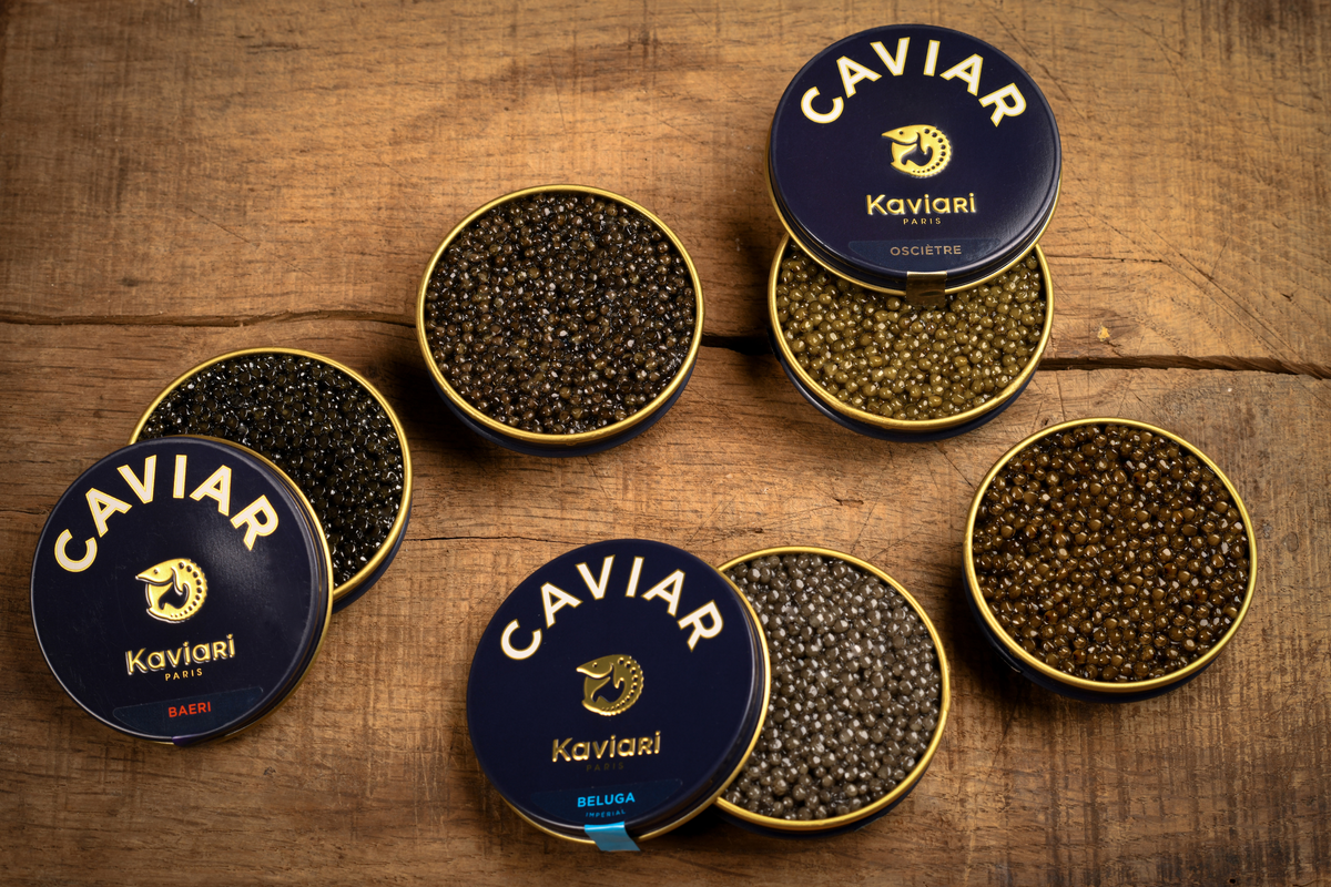 Caviar Species Guide: Beluga, Oscietre, Baeri & Kristal®
