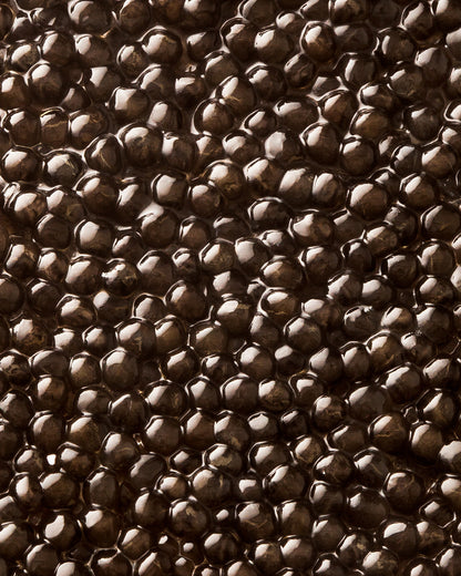 Caviar Baeri