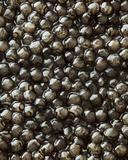 Caviar Beluga
