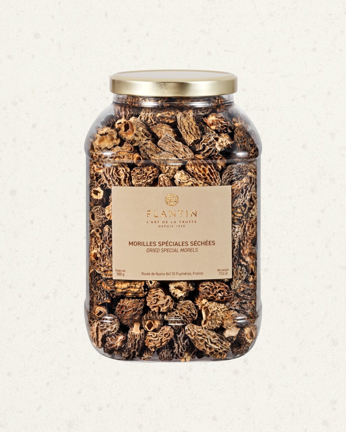 Dry Morels