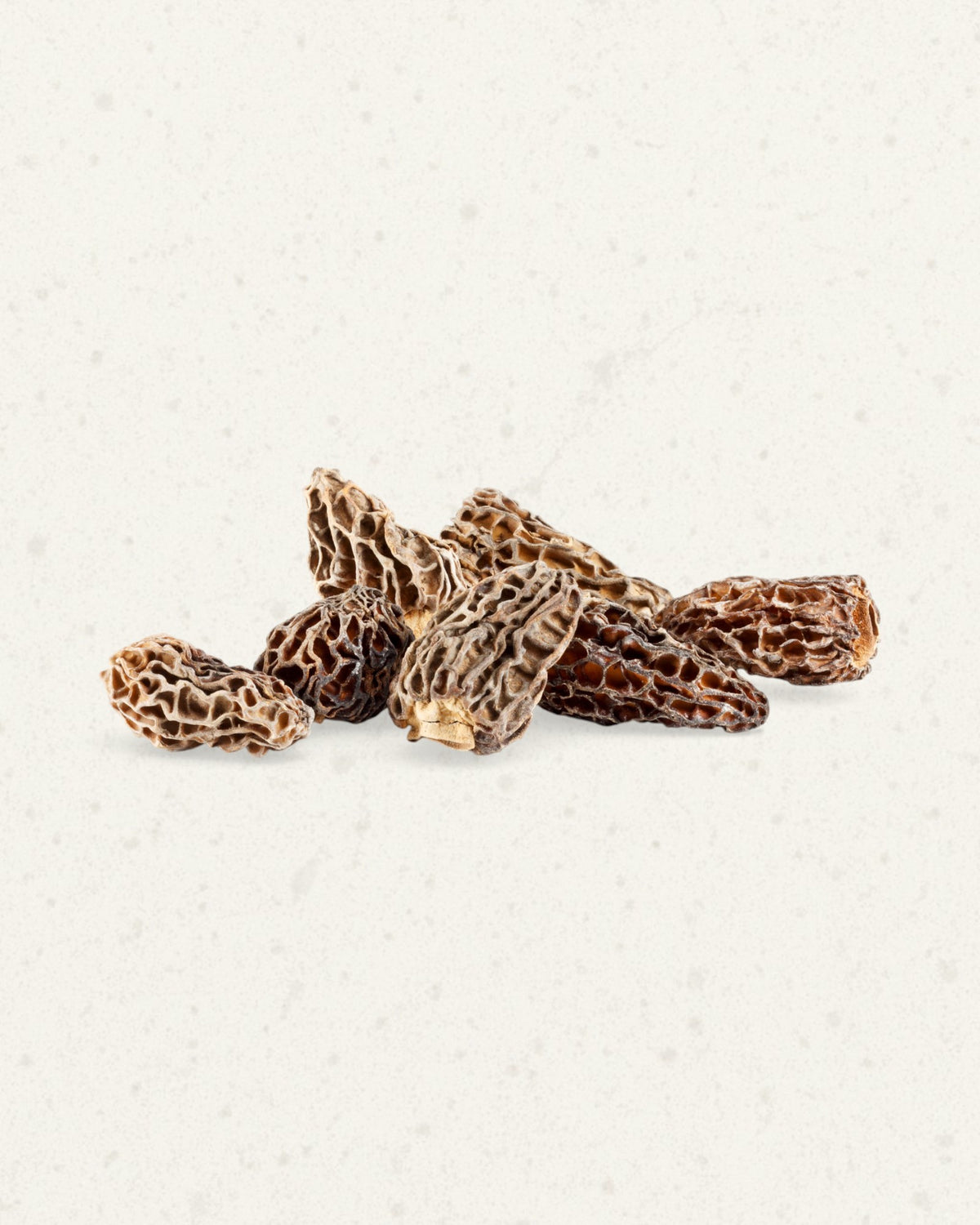 Dry Morels
