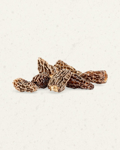 Dry Morels