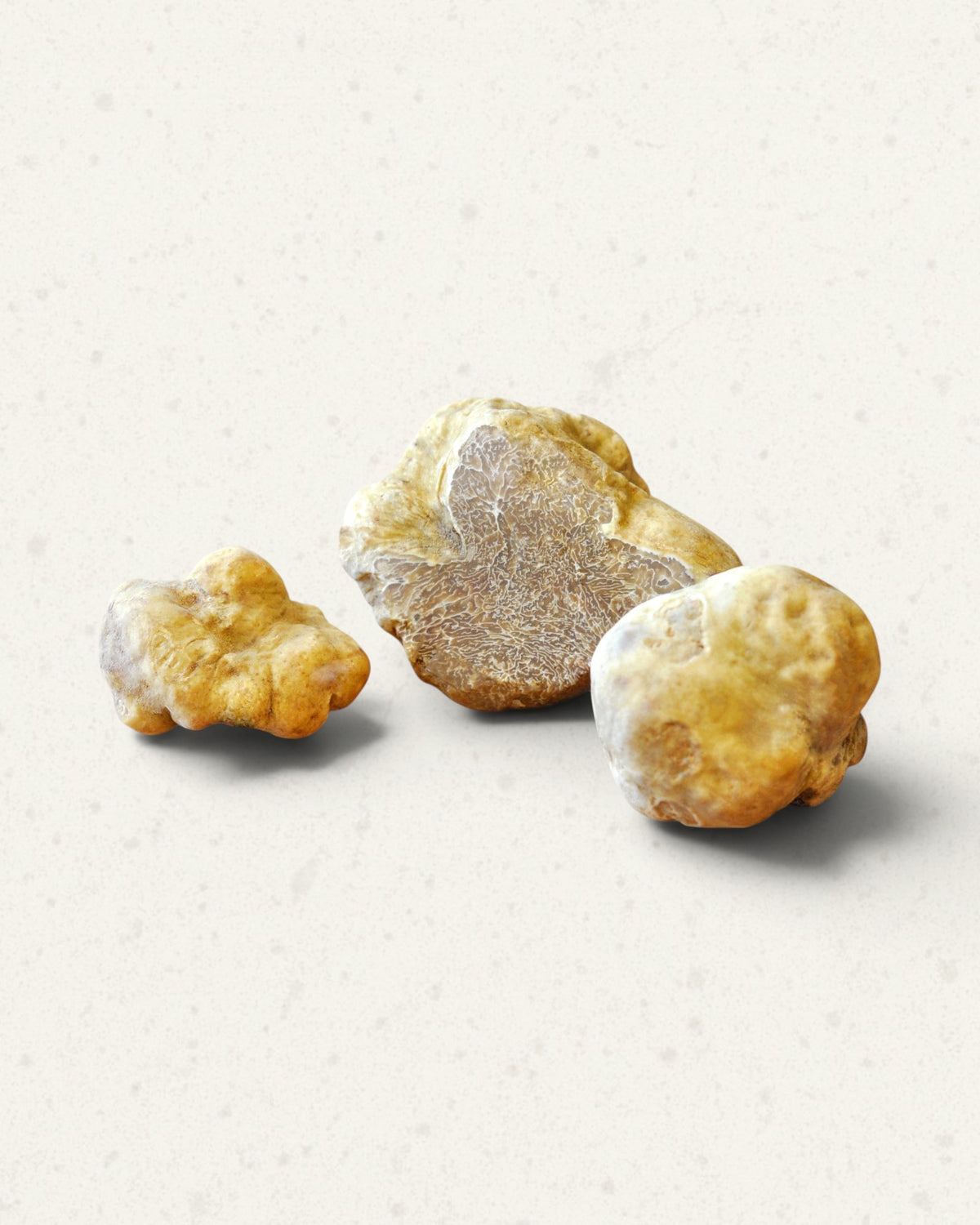 Fresh White Truffle from Italy