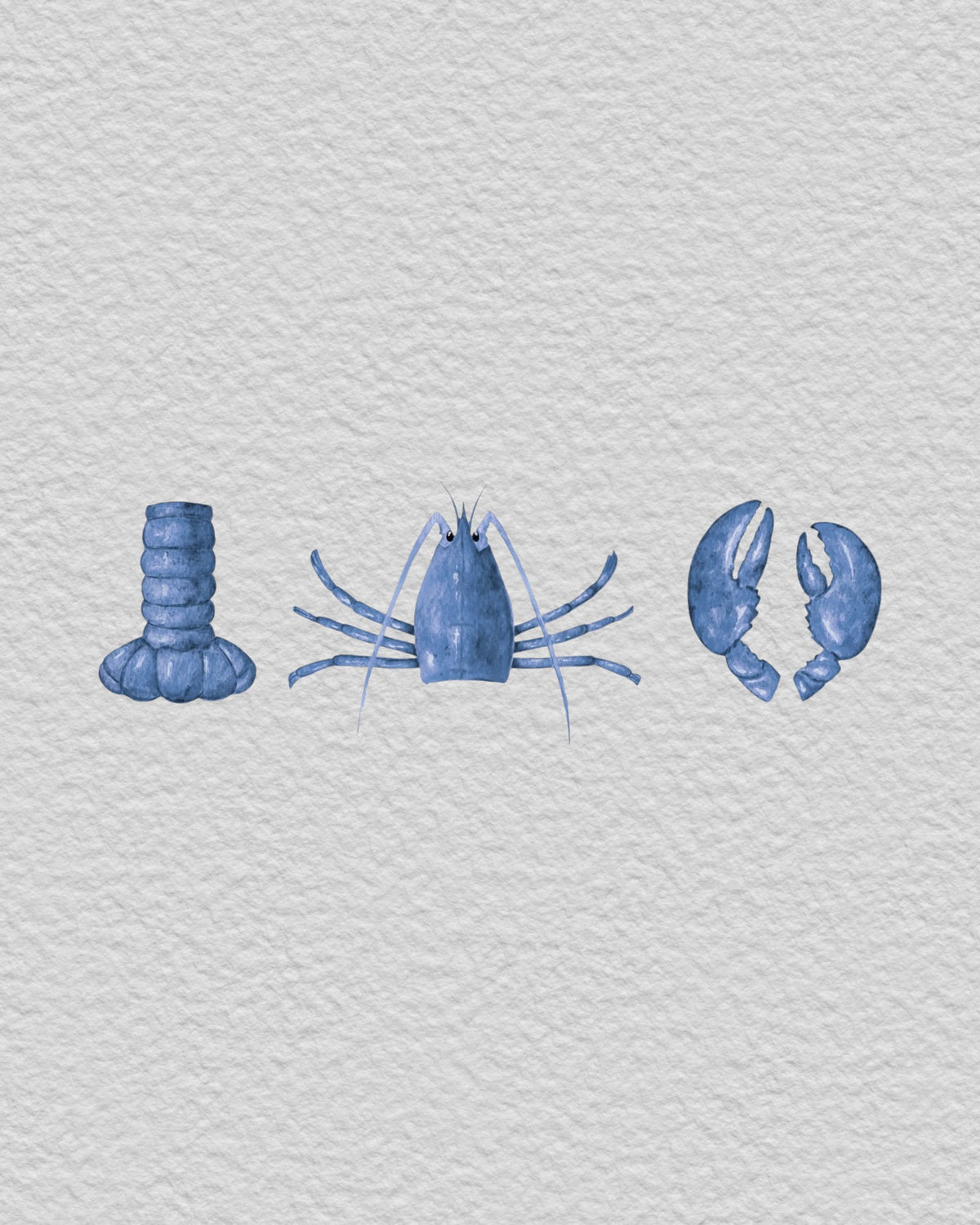 Frozen European Blue Lobster