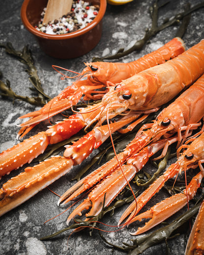 Frozen Wild Langoustines XL