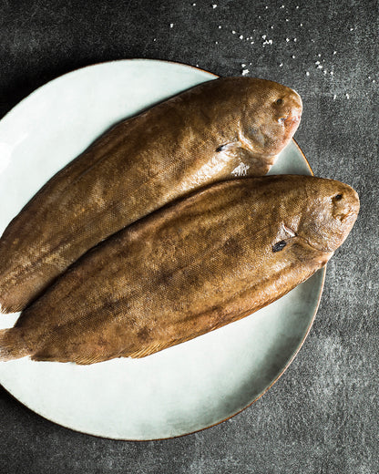 Frozen Dover Sole - Whole, Gutted