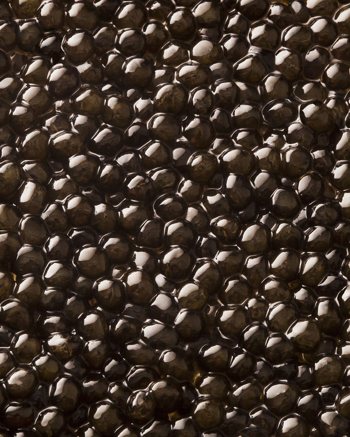 Caviar Oscietre Prestige