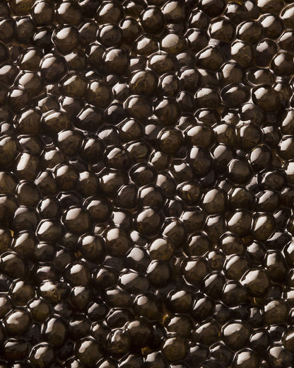 Caviar Oscietre Prestige