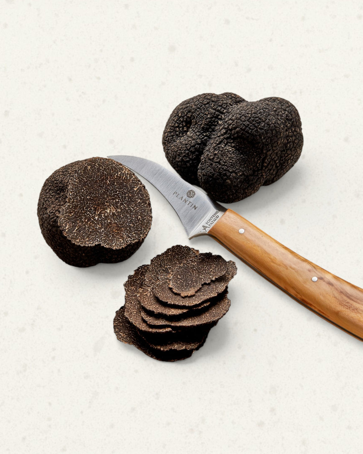 Fresh Black Winter Truffle - From France