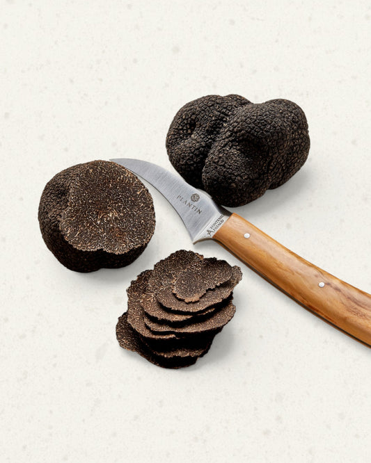 Black winter truffles, a fan of thin slices and a wooden-handled truffle knife on a light background