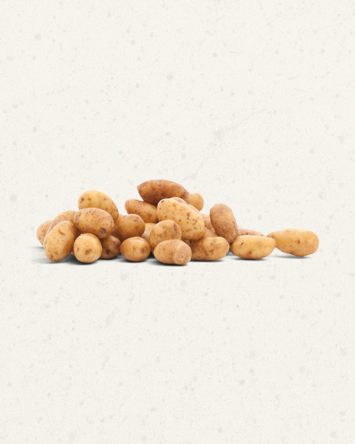 Baby Ratte Potatoes