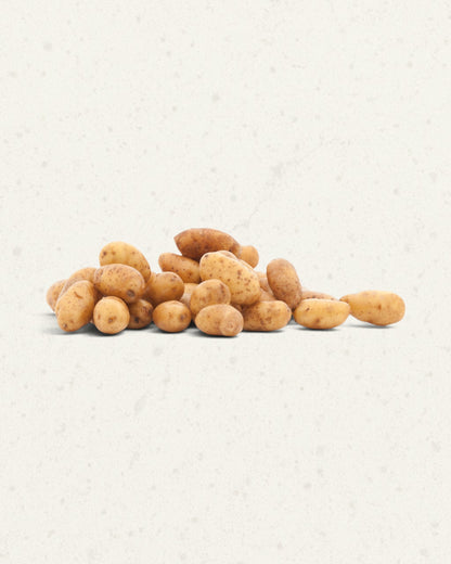 Baby Ratte Potatoes