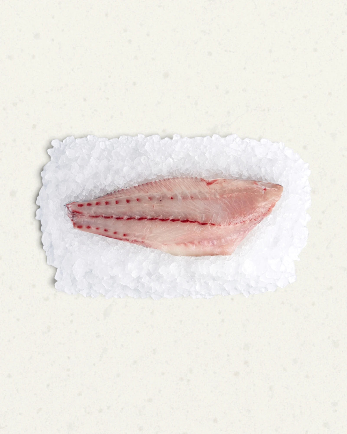 Frozen Salmon Bass Fillet - Skin-on