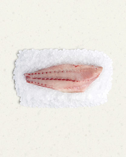 Frozen Salmon Bass Fillet - Skin-on