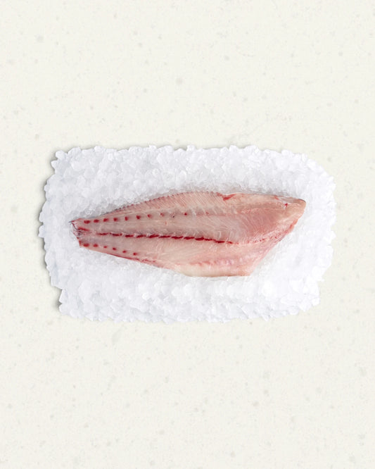 A single raw salmon bass fillet resting on a bed of coarse white ice, photographed from above on a light beige textured surface.