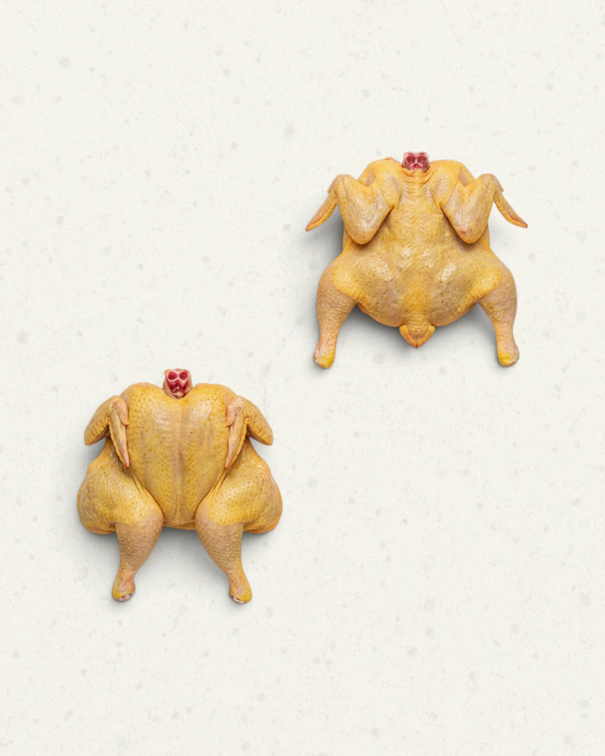 Spring Chicken Crapaudine