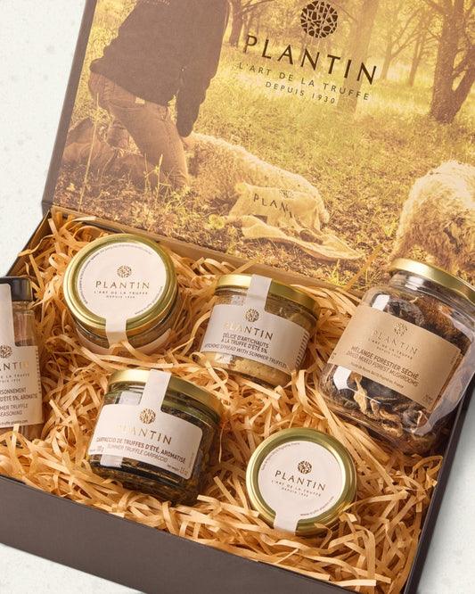 Truffle Gift Box by Plantin