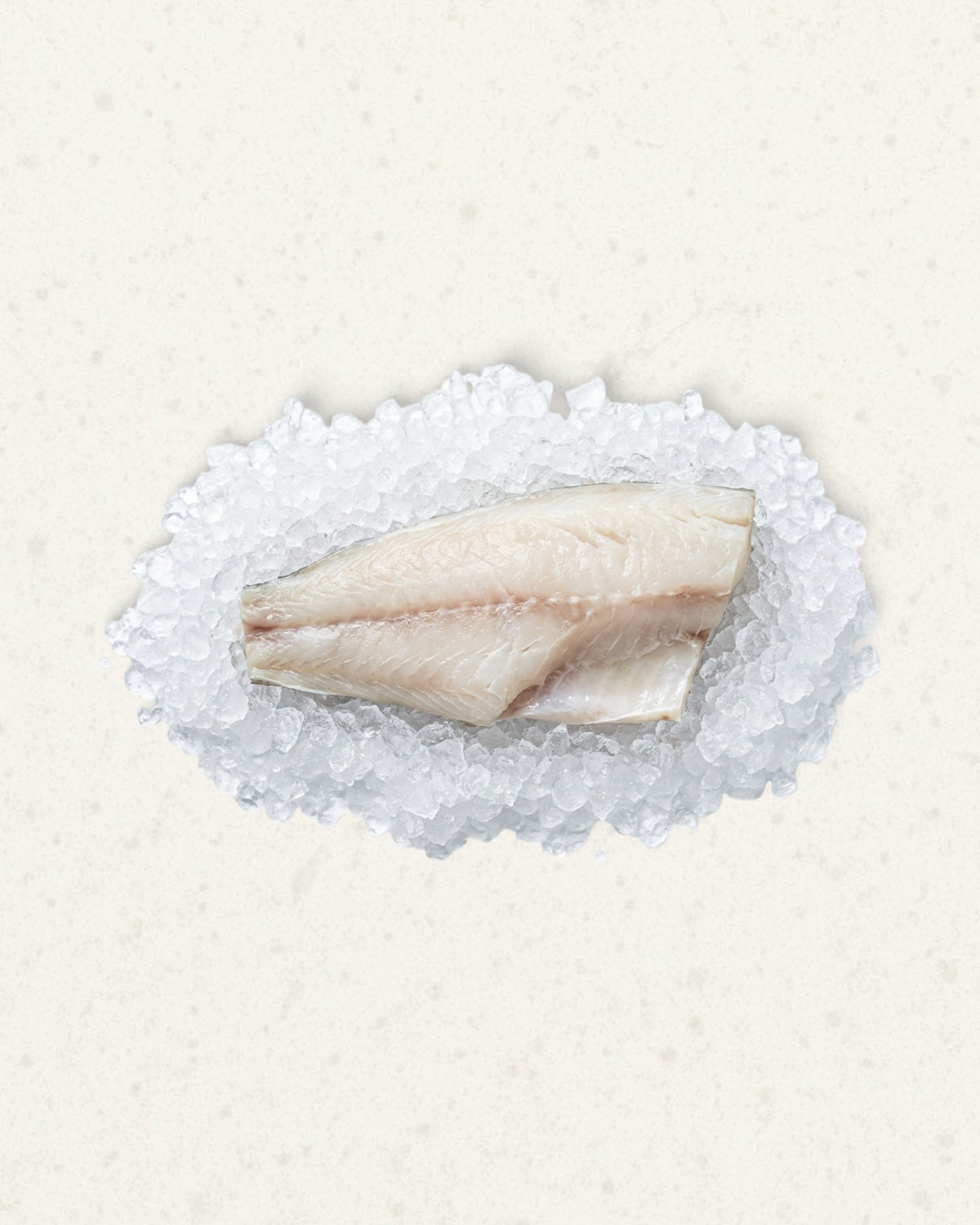 Frozen Toothfish Fillet - Skin-on